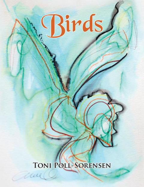 Cover image for book Birds