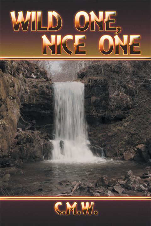 Cover image for book Wild One, Nice One
