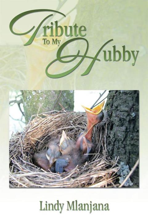 Cover image for book Tribute to My Hubby