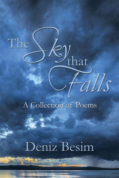 Cover image for book The Sky That Falls