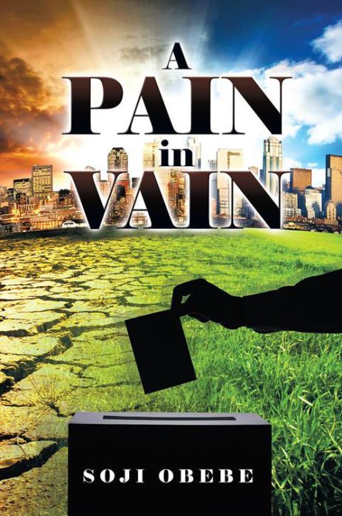 Cover image for book A Pain in Vain