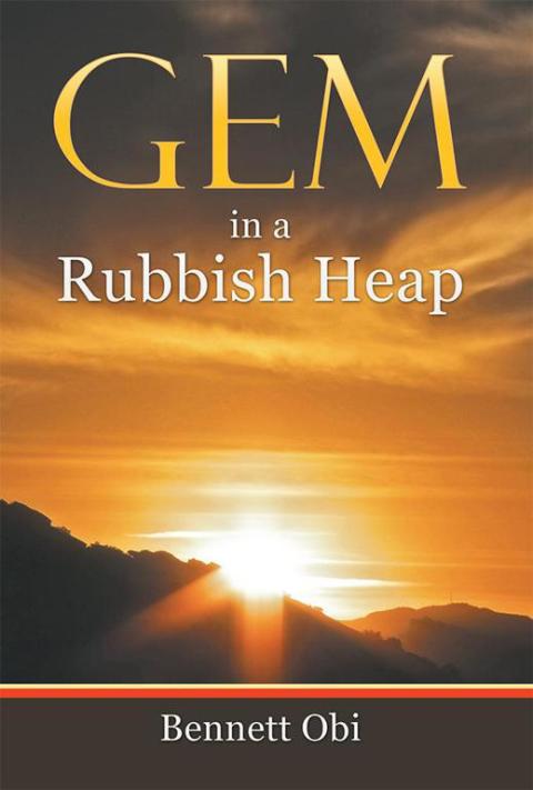 Cover image for book Gem in a Rubbish Heap