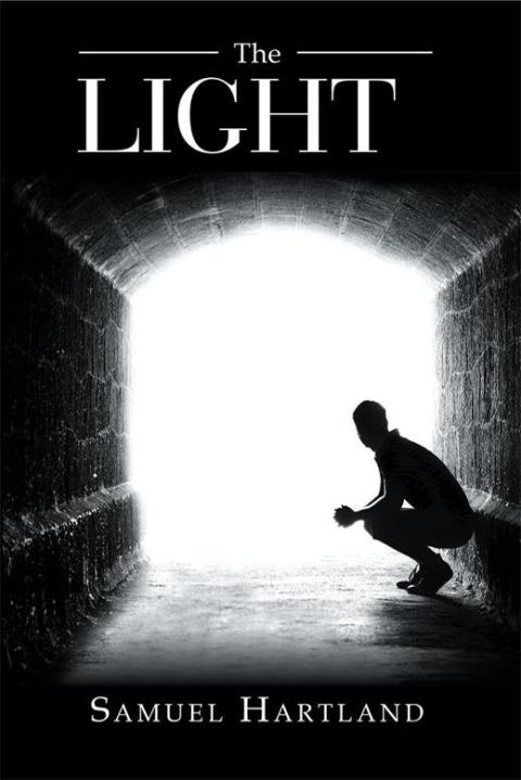 Cover image for book The Light