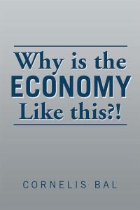 Cover image: Why Is the Economy Like This?! 9781499091779