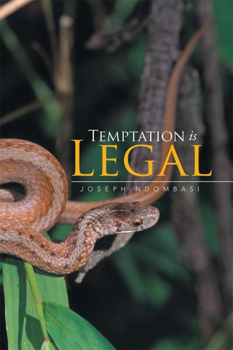 Cover image for book Temptation Is Legal