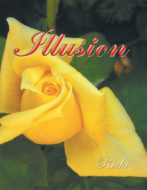 Cover image for book Illusion