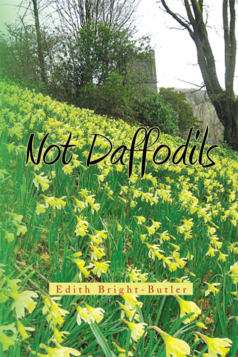 Cover image for book Not Daffodils