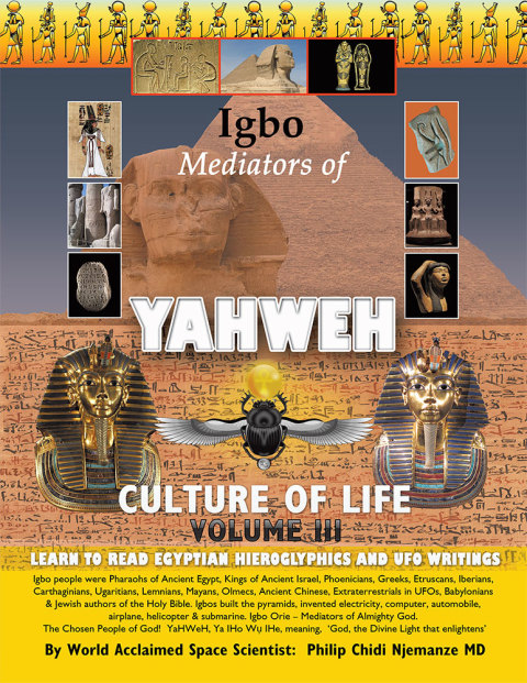 Cover image for book Igbo Mediators of Yahweh Culture of Life