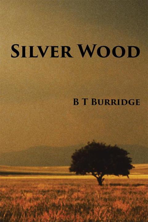 Cover image for book Silver Wood
