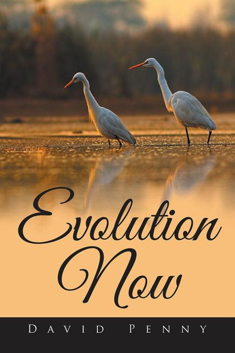 Cover image for book Evolution Now