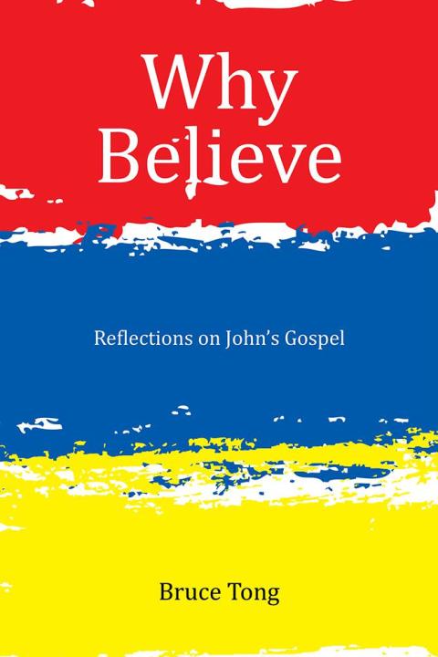 Cover image for book Why Believe