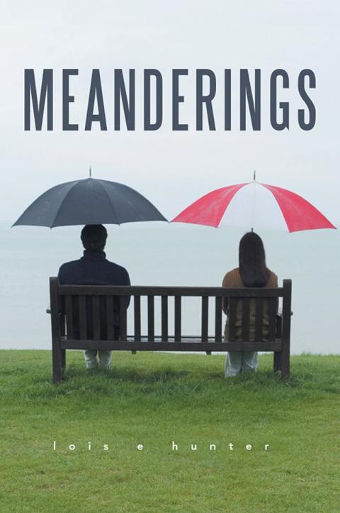 Cover image for book Meanderings