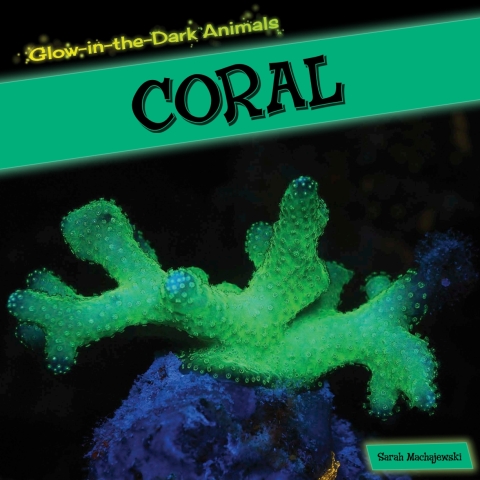 Cover image for book Coral