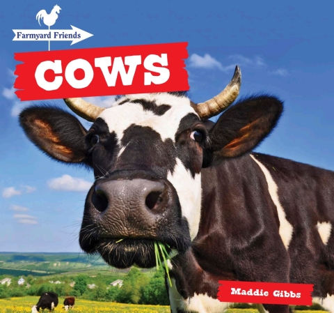 Cover image for book Cows