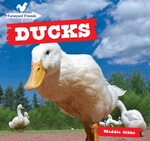 Cover image for book Ducks