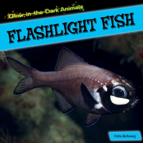 Cover image for book Flashlight Fish