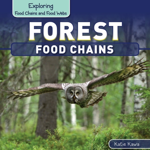 Cover image for book Forest Food Chains