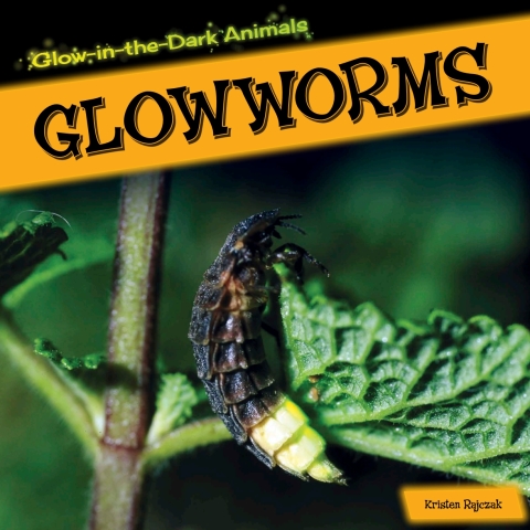Cover image for book Glowworms