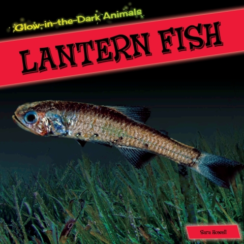 Cover image for book Lantern Fish