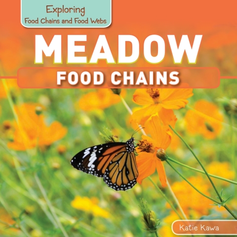 Cover image for book Meadow Food Chains