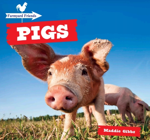 Cover image for book Pigs