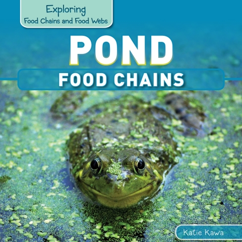 Cover image for book Pond Food Chains