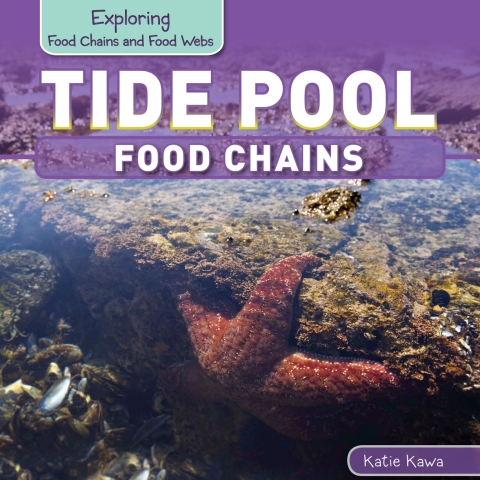 Cover image for book Tide Pool Food Chains