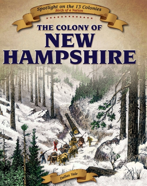 Cover image for book The Colony of New Hampshire