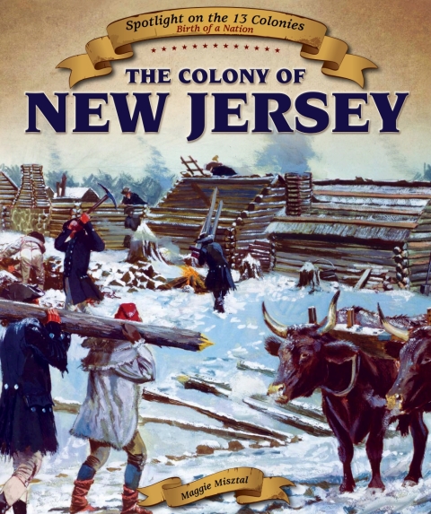 Cover image for book The Colony of New Jersey