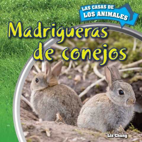 Cover image for book Madrigueras de conejos (Inside Rabbit Burrows)