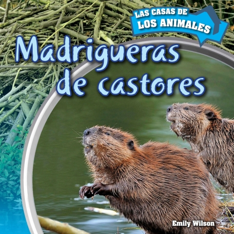 Cover image for book Madrigueras de castores (Inside Beaver Lodges)