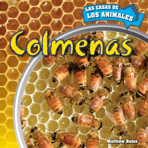 Cover image for book Colmenas (Inside Beehives)