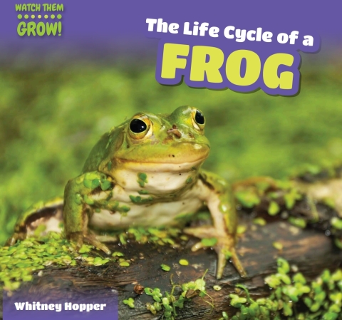 Cover image for book The Life Cycle of a Frog