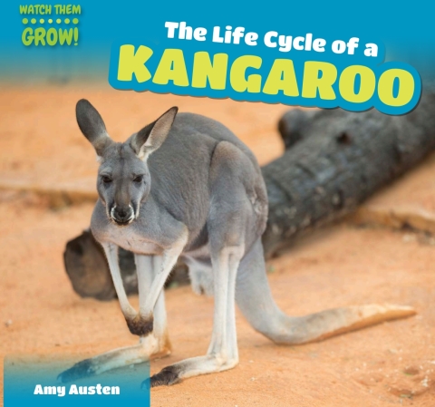 Cover image for book The Life Cycle of a Kangaroo