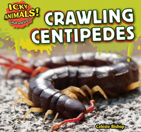 Cover image for book Crawling Centipedes