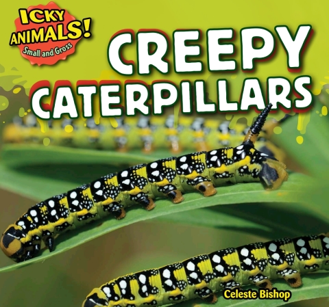 Cover image for book Creepy Caterpillars