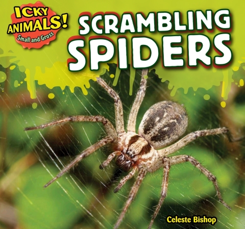 Cover image for book Scrambling Spiders