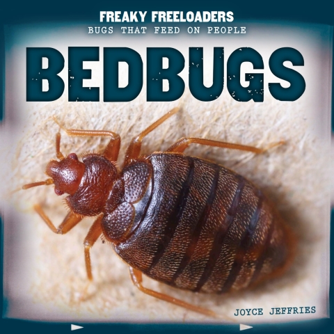 Cover image for book Bedbugs