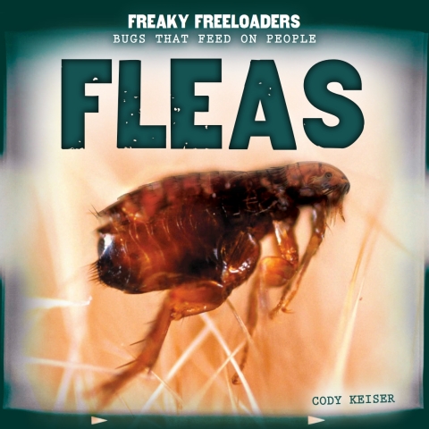 Cover image for book Fleas