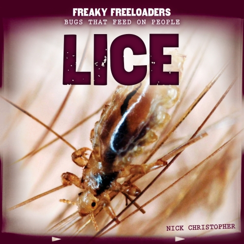 Cover image for book Lice
