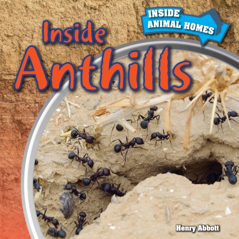 Cover image for book Inside Anthills