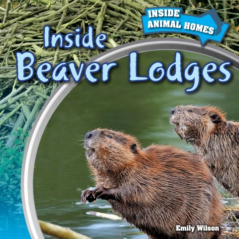 Cover image for book Inside Beaver Lodges