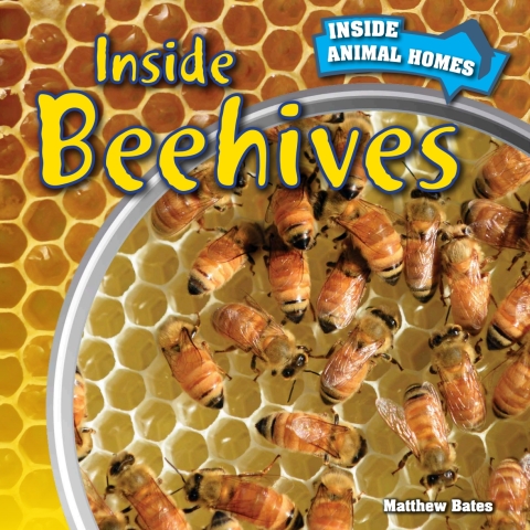 Cover image for book Inside Beehives