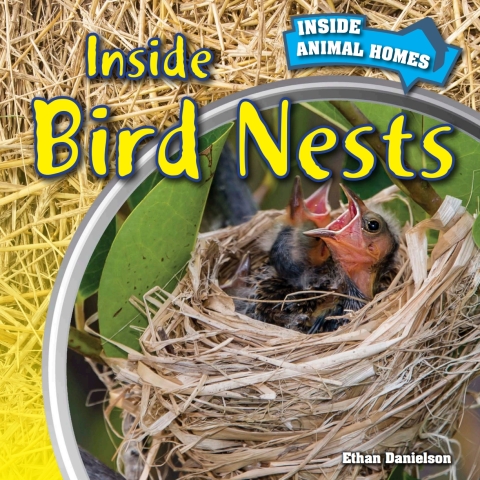 Cover image for book Inside Bird Nests