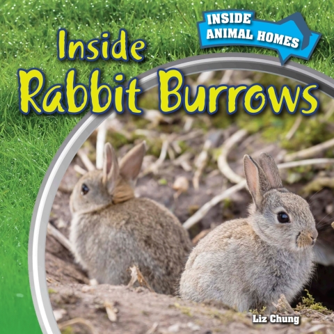 Cover image for book Inside Rabbit Burrows