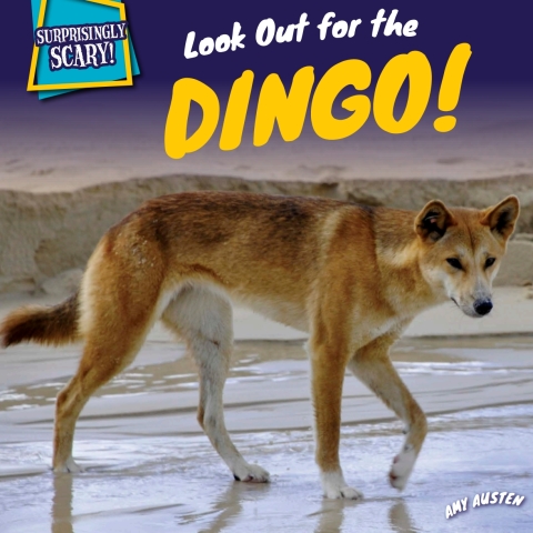 Cover image for book Look Out for the Dingo!