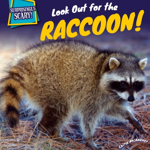 Cover image for book Look Out for the Raccoon!