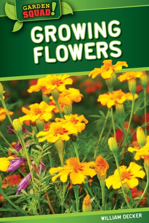 Cover image for book Growing Flowers