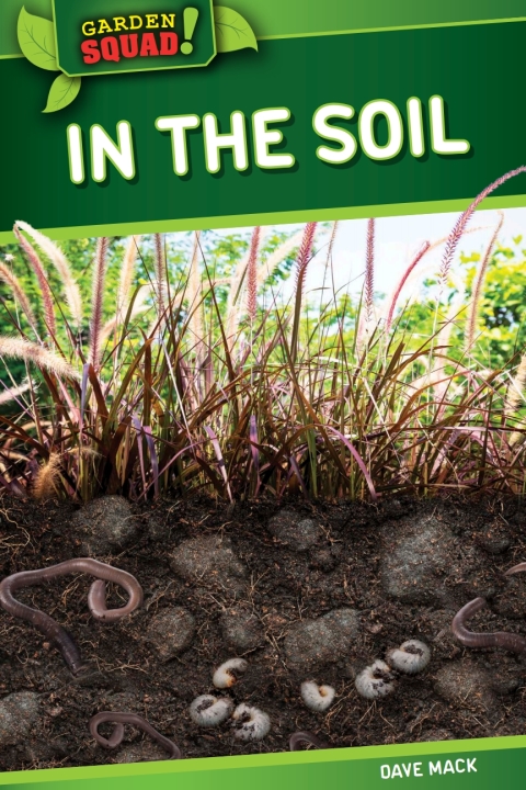 Cover image for book In the Soil
