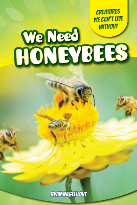Cover image for book We Need Honeybees